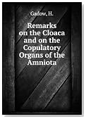 Remarks on the Cloaca and the Copulatory Organs of the Amniota.