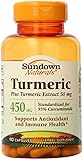 Sundown Naturals Turmeric Curcumin 450 mg, 90 Capsules