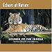 Echoes of Nature: Sounds Of The Jungle [CD on Demand]
