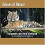 Echoes of Nature: Sounds Of The Jungle