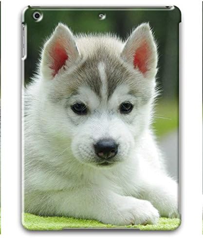 iPad Air 1/2 Case,Highly PC Material,Non-Slip,Slim,Lightweigh,Full Wrap Print Case With Advanced Printing Technology For iPad Air 1/2_Small White Dog