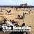 100 Years of the Seaside (Twentieth Century in Pictures)