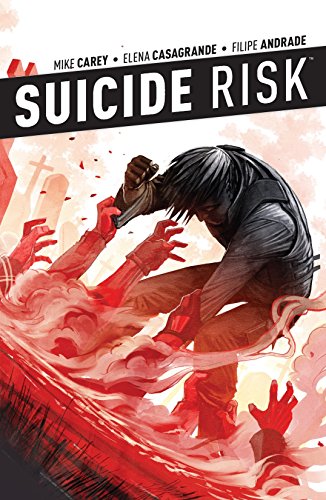 Suicide Risk Vol. 4