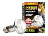 Exo Terra Sun Glo Tight Beam Spot Lamp 50w
