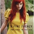 One Cell In The Sea