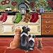 Cosy Stockings Labrador Border Collie & Kitten Christmas Cards Pack