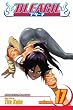Bleach: v. 17