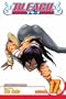 Bleach, Vol. 17