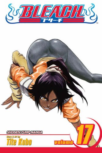 Bleach: v. 17 (Bleach) (Bleach (Paperback))