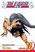 Bleach: v. 17 (Bleach)