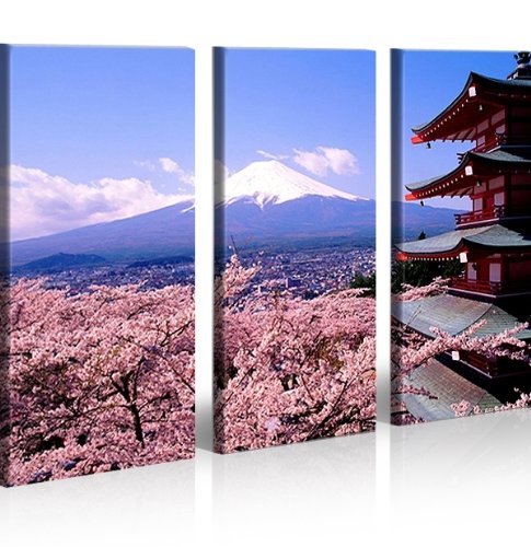 http://ecx.images-amazon.com/images/I/51AqBwQv3ZL.jpg