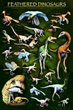 51AqFLTw9OL. SL160  Safari LTD Feathered Dinosaurs Poster Laminated