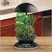 AeroGarden 900100-1200 AeroGarden 3 with Gourmet Herb Seed Kit