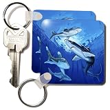 OPEN WATER SHARKS - Set Of 2 Key Chains