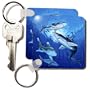 OPEN WATER SHARKS - Set Of 2 Key Chains
