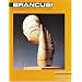Constantin Brancusi (Modern Masters Series)