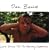 Love Songs For The Hearing Impaired