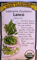 Edamame Soybeans Certified Organic Lanco Seeds 60 Seeds