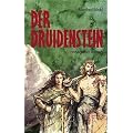 Der Druidenstein: Historischer Roman