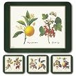 Jason Redoute Fruit Placemats - Set of 4 (Large)