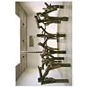 Ai Weiwei: Fragments Beijing 2006