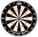 DMI ProTrainer Staple Free Bristle Dartboard