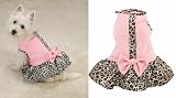Sugar and Spice Dog Dress