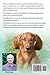 Coonhound Dog. Coonhound Complete Owner's Manual. Coonhound Care, Costs, Feeding, Health, Grooming and Training All Included.