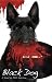 Black Dog