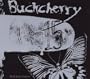 15/Black Butterfly