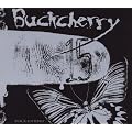 15 / Black Butterfly