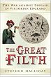 The Great Filth: The War Against Disease in Victorian England