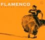 Flamenco-Spanish Passion 2-C
