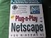 Plug-N-Play Netscape For Windows 95 Internet Access