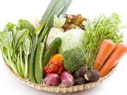 百姓隊 宮崎情熱野菜セット（10品） 「農水省六次化法認定商品」