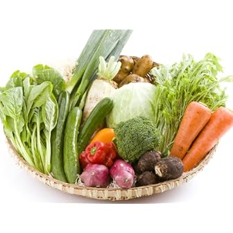 百姓隊 宮崎情熱野菜セット（10品） 「農水省六次化法認定商品」　※お鍋用きのこ詰合せプレゼント中！