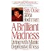 Brilliant Madness: Living with Manic Depressive Illness