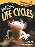 Reptiles and amphibians