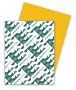 Wausau Paper Astrobrights Colored Card Stock, 65 lb, Letter, Galaxy Gold, 250 Sheets per Pack (22771)