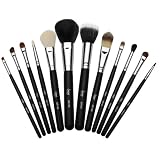 Urban Decay Hall of Fame (Misc.) newly tagged sephora Sigma Makeup 12 pc Professional Brush Set
