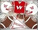 Hand Decorated Wisconsin Badger Sugar Cookie Gift Tin