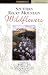 book cover unavailable