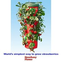 Strawberry Planter Topsy Turvy Upside Down Home Garden Hanging Vegetables On Tv