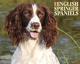 Just English Springer Spaniels (Just (Willow Creek))