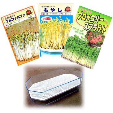 もやし（スプラウト）：3種栽培セットA（ブロッコリー、ブラックマッペ、アルファルファ）[タネ][小袋][大容器]