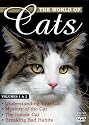 World of Cats, Vols. 1 & 2