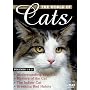 World of Cats, Vols. 1 & 2