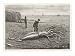 Architeuthis Princeps Stranded on a Newfoundland Beach Giclee Poster Print, 18x24