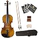 Cecilio 1/2 CVN-500 Ebony Fitted Solid Wood Flamed Violin with Antique Finish