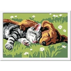 Ravensburger 27854 - Tiefer Schlaf - Malen nach Zahlen, 13 x 18 cm